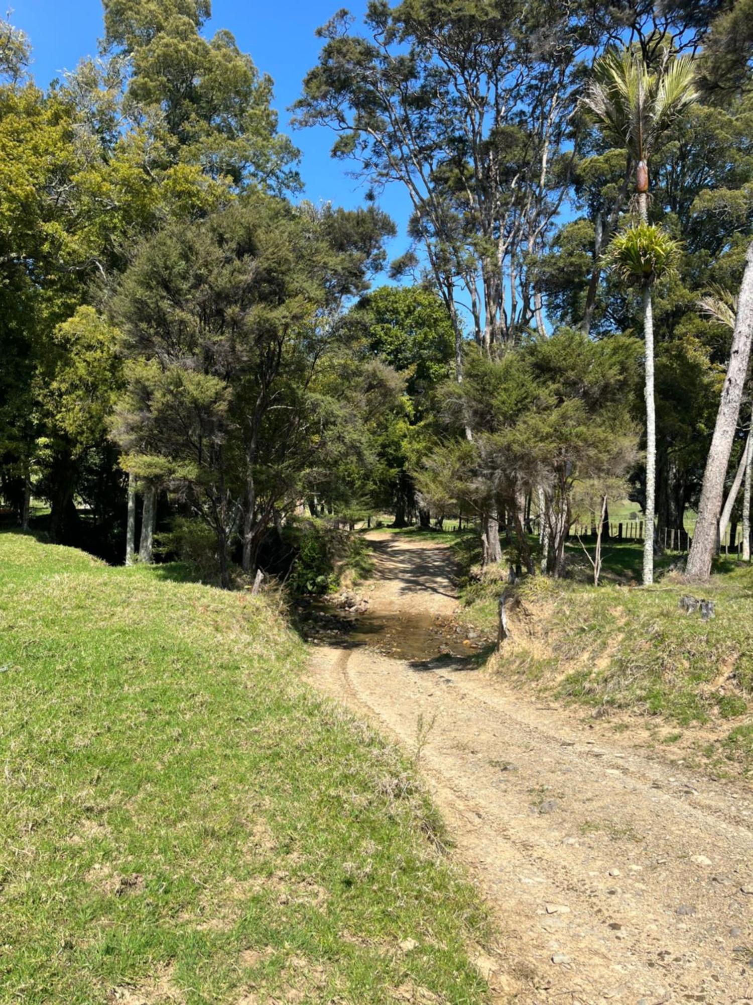 White Star Station Farm Holiday Park Coromandel المظهر الخارجي الصورة