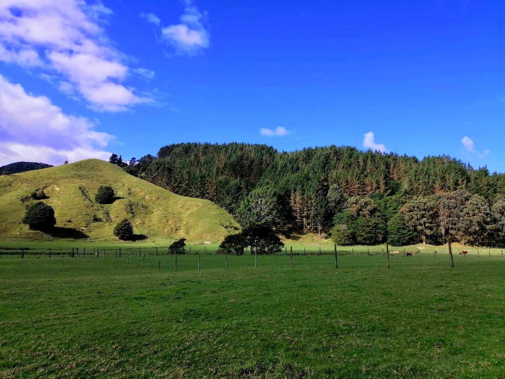 White Star Station Farm Holiday Park Coromandel المظهر الخارجي الصورة