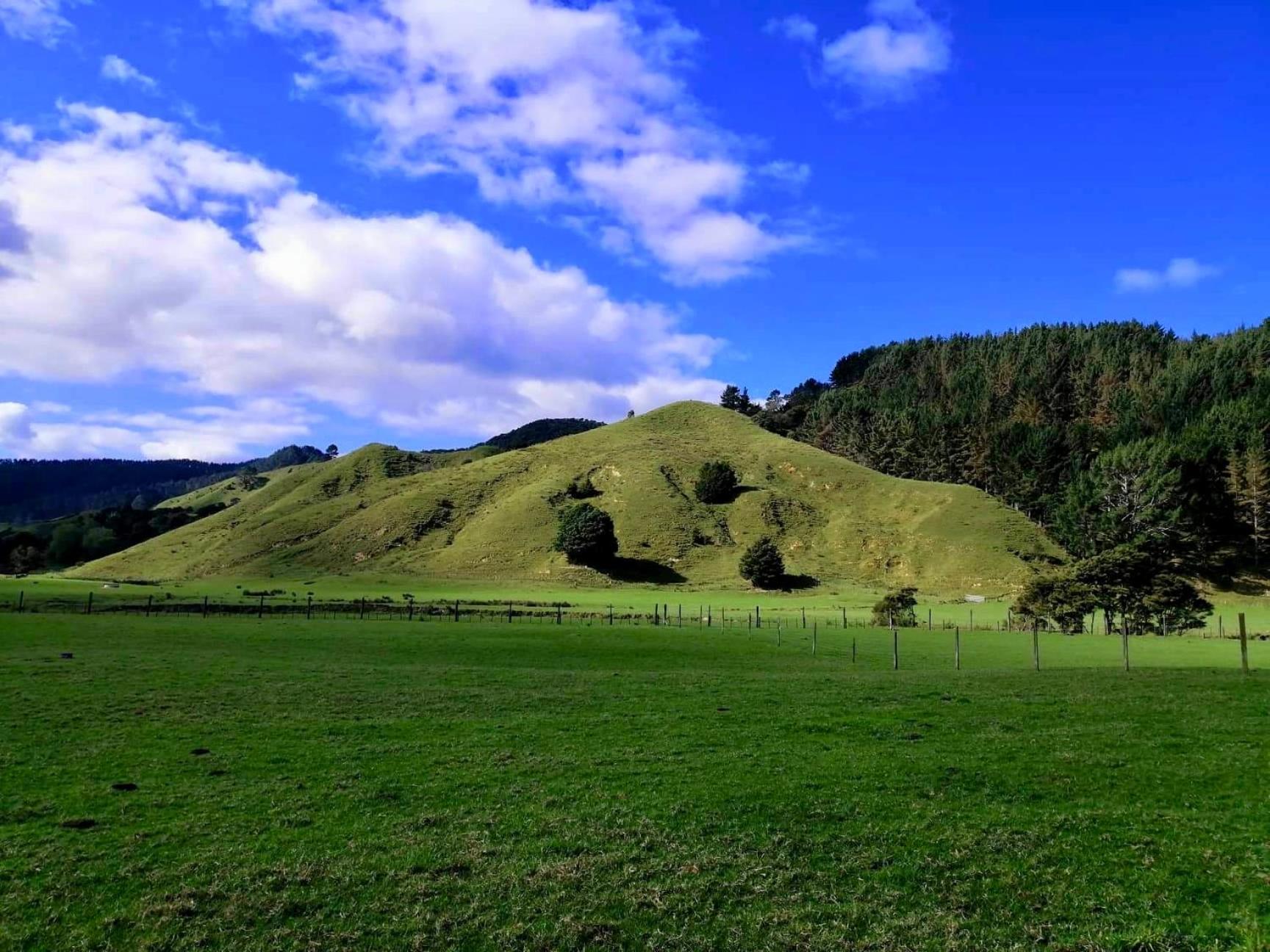 White Star Station Farm Holiday Park Coromandel المظهر الخارجي الصورة